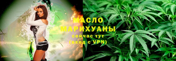 индика Новокубанск